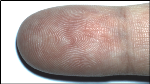 Touchless 2D Fingerprint Recognition Logo